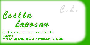 csilla laposan business card